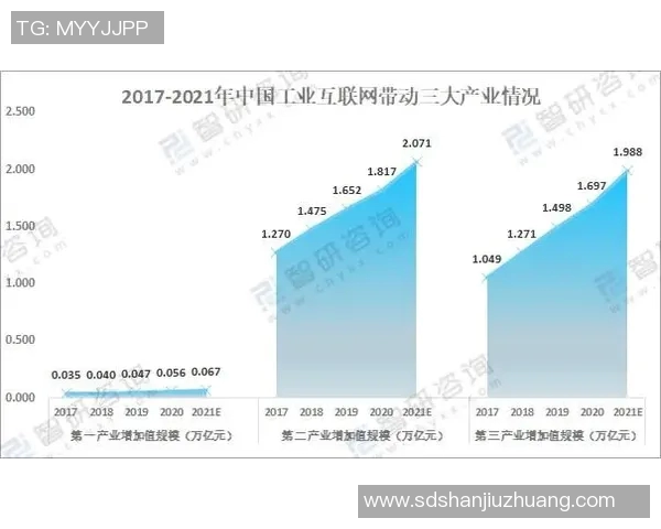 成都排球队总决赛耐力表现分析与未来展望 成都排球队总决赛耐力表现分析与未来展望