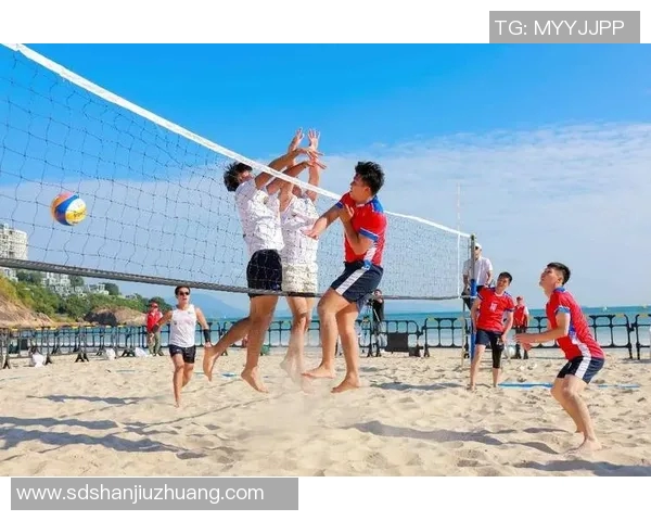 深圳排球队的默契配合揭秘与训练背后的故事