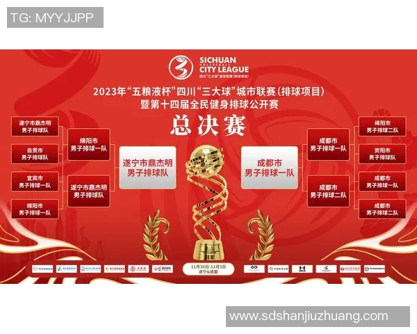 成都排球队在精英赛中的耐力表现分析与总结