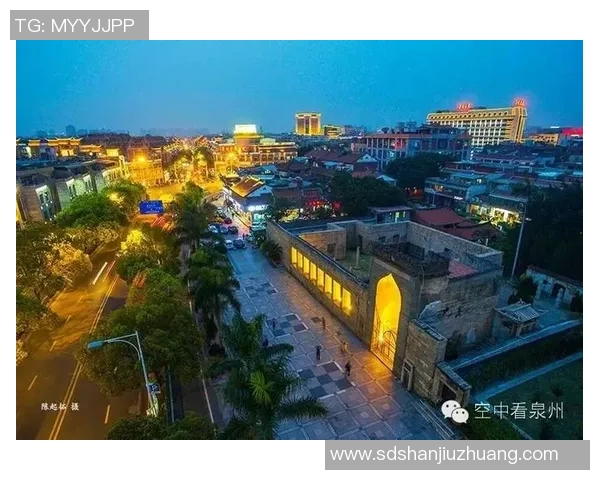 杭州乒乓球队的拼搏历程与荣耀时刻全景回顾 杭州乒乓球队的拼搏历程与荣耀时刻全景回顾