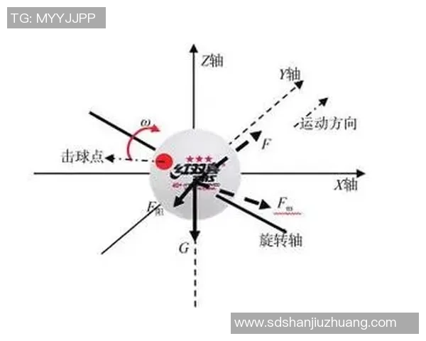 武汉乒乓球队在城市联赛中的灵活性表现与战术分析 武汉乒乓球队在城市联赛中的灵活性表现与战术分析