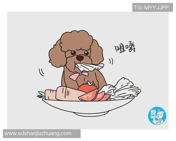 杨伟独家分享篮球心得与技巧助你提升球技的全面指南