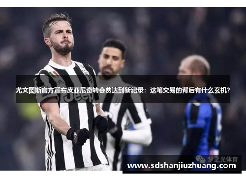尤文图斯官方宣布皮亚尼奇转会费达到新纪录：这笔交易的背后有什么玄机？